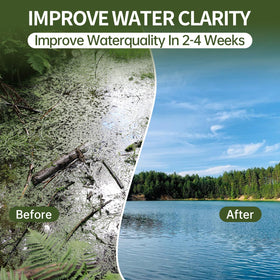 DrPetum Muck Reducer bottom diffusion targets silt from the pond floor.
