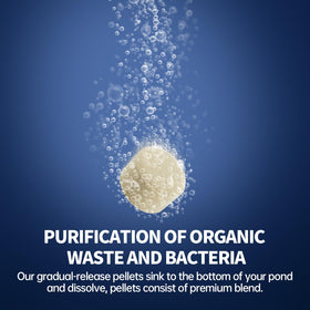 DrPetum Muck Reducer is safe for fish, pets, and swimming when used as directed.