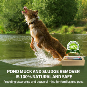DrPetum Muck Reducer value pack supports shoreline treatment and long-term upkeep.