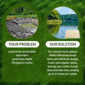 DrPetum Muck Reducer tablets dissolve and release enzymes to digest organics.