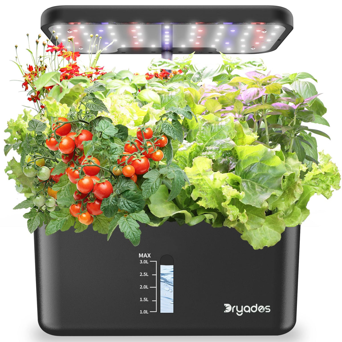 Dryades 10-pod indoor garden enables year-round, soil-free herb growth.