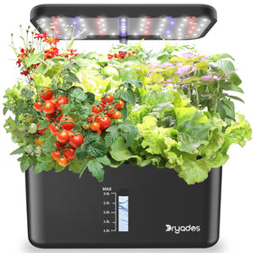 Dryades 10-pod indoor garden enables year-round, soil-free herb growth.