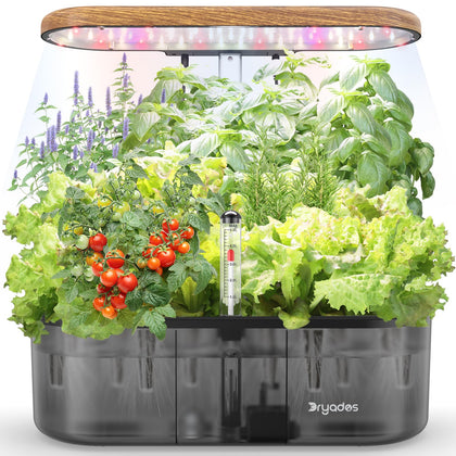 DRYADES 12-pod hydroponic system front view for easy indoor herb growing