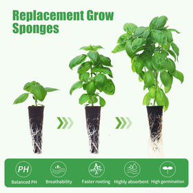 DRYADES 20 grow baskets arranged for seedling support and airflow.