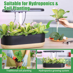 DRYADES easy transplant from sponge to soil or potting mix.