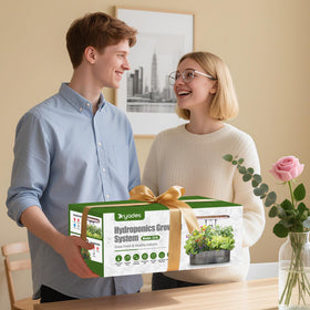 DRYADES family-friendly kitchen garden setup for year-round herb cultivation