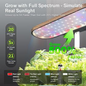 DRYADES LED grow light overhead supporting robust plant growth and faster harvests