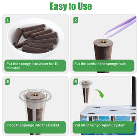 DRYADES peat sponge absorbs moisture for stable early growth.