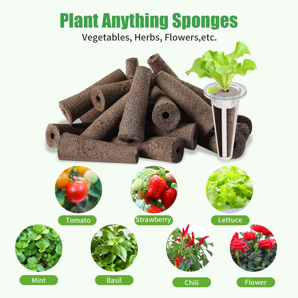 DRYADES seed pods compatibility with various hydroponic systems.