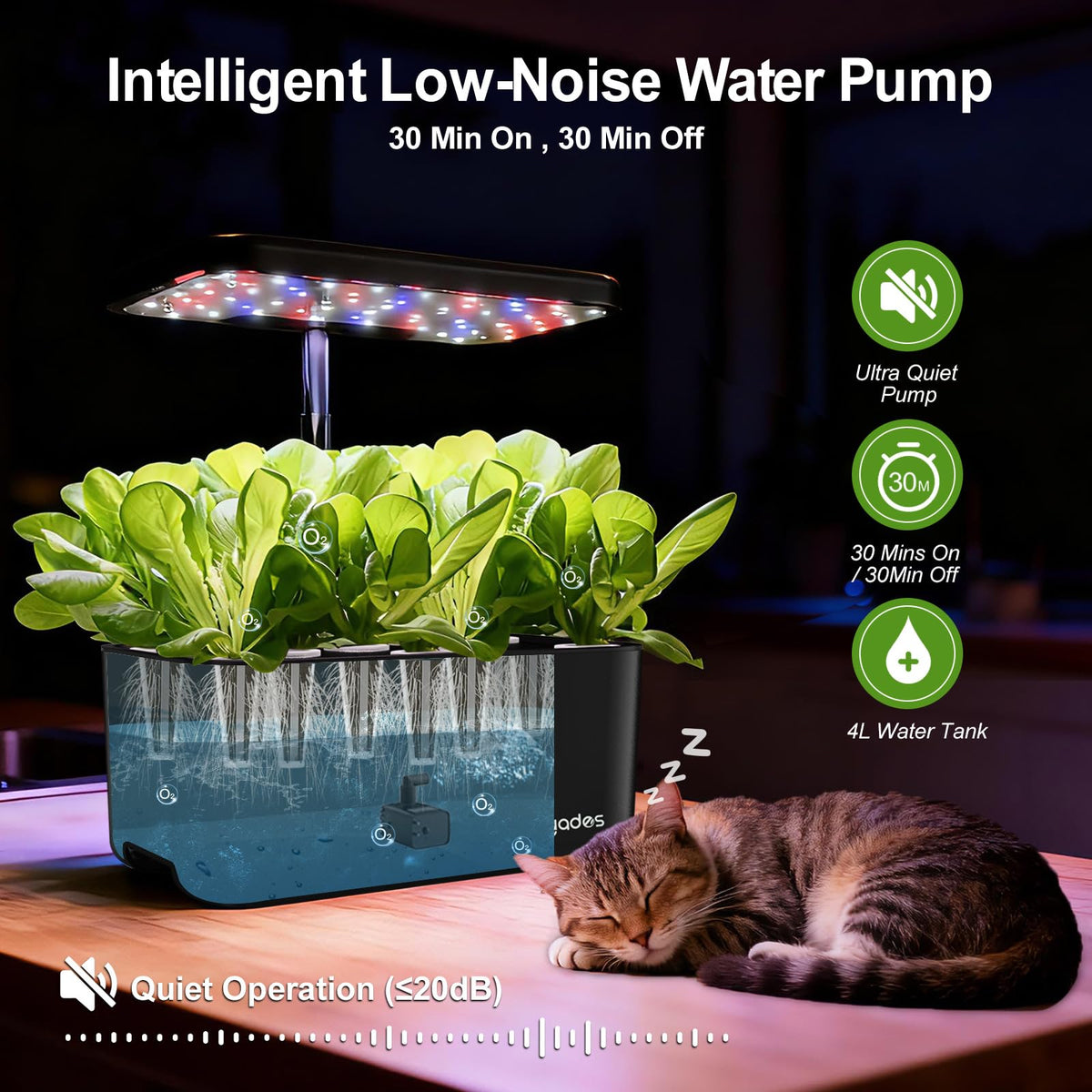 Dryades two-grow modes support vegetables and flowers for variety.