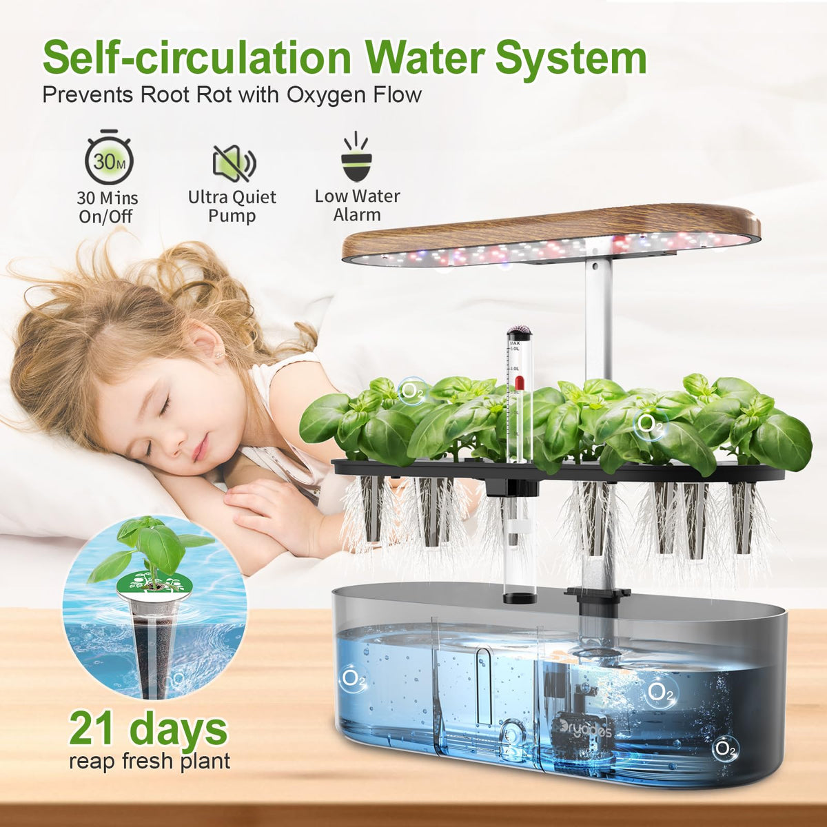 DRYADES water reservoir and circulation system keeps nutrient solution fresh for thriving roots