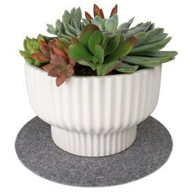 Drymate machine-washable plant coaster enables easy cleaning.