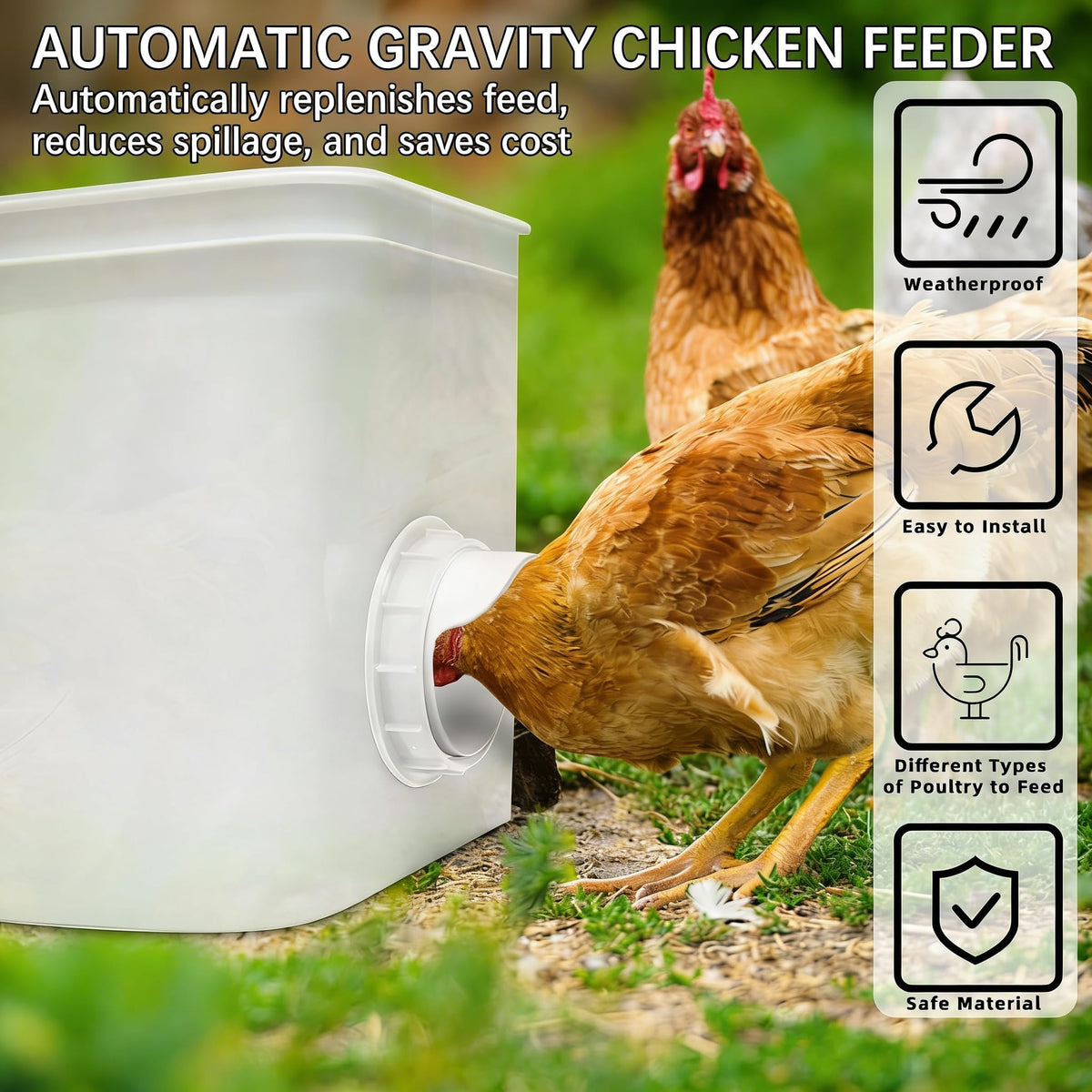 DSTANA gravity-feed cup in action automatically replenishing feed for flock
