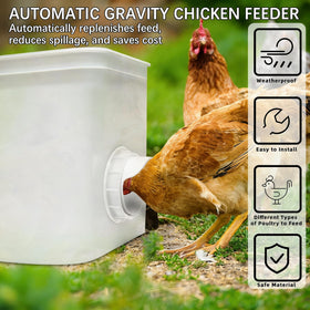 DSTANA gravity-feed cup in action automatically replenishing feed for flock