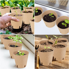 DSUWAZU eco-friendly packaging accompanying biodegradable pots