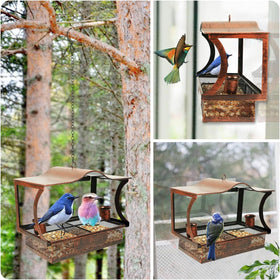DTEPFUEN Water cups support a complete feeding experience for visiting birds.