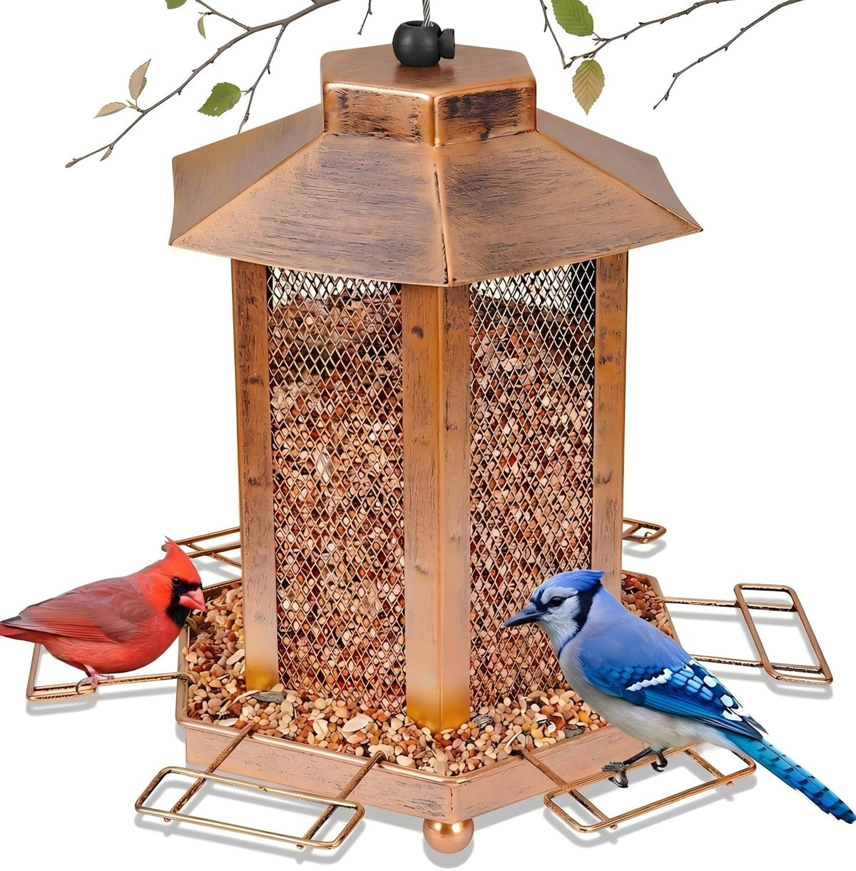 DTEPFUEN lantern-shaped bird feeder close-up highlights durable outdoor design.