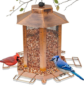 DTEPFUEN lantern-shaped bird feeder close-up highlights durable outdoor design.