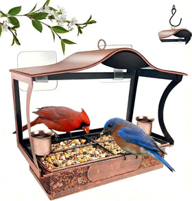 DTEPFUEN Window Feeder with suction cups on glass for stable outdoor viewing.