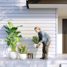 DTY Premium Mt Sherman larger white planter at entryway display.