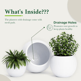 DTY Premium Mt Sherman indoor scene featuring large round planter.