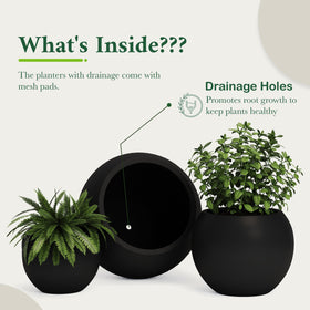 Close-up of smooth black surface and rounded rim of the DTY sphere planter.