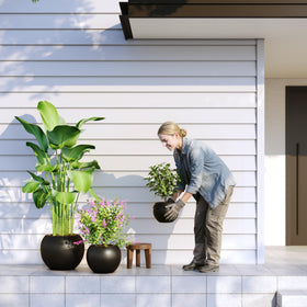 Indoor outdoor ready with UV-stable finish for versatile placement.