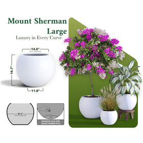 DTY Premium Mt Sherman white fiberstone planter with weather-resistant finish.