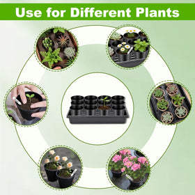 Dualshine all-in-one seed starter kit saves time and space in your gardening setup