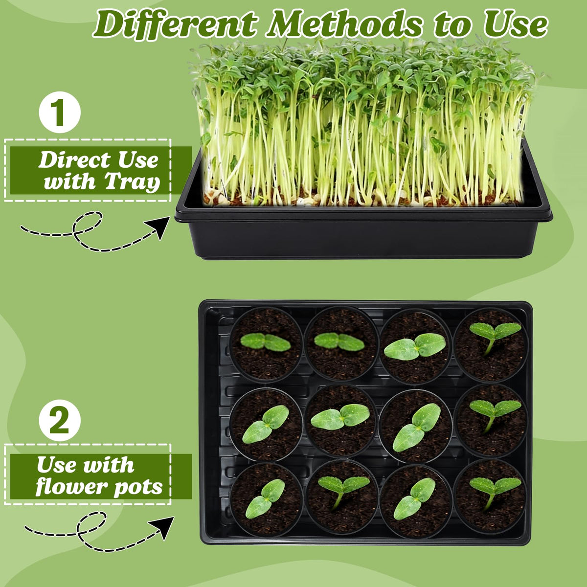 Dualshine plant labels help track varieties and sowing dates easily