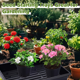 Dualshine transplanting tools protect delicate roots during transplanting