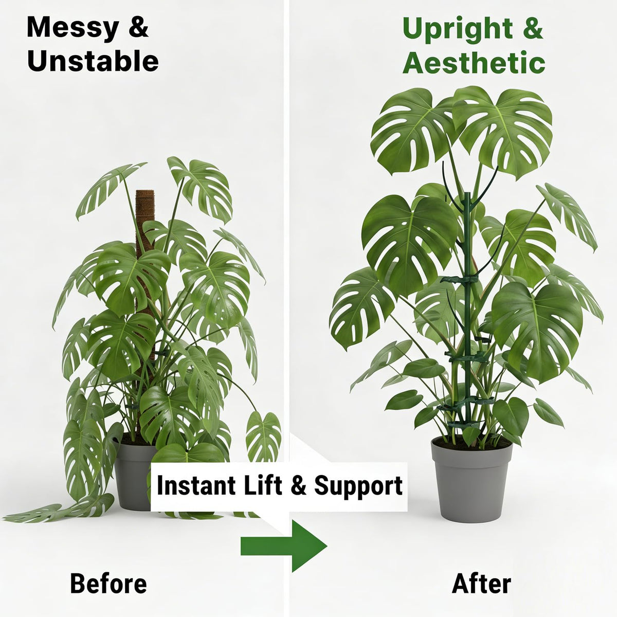 Dukars plant support clips in use securing stems neatly