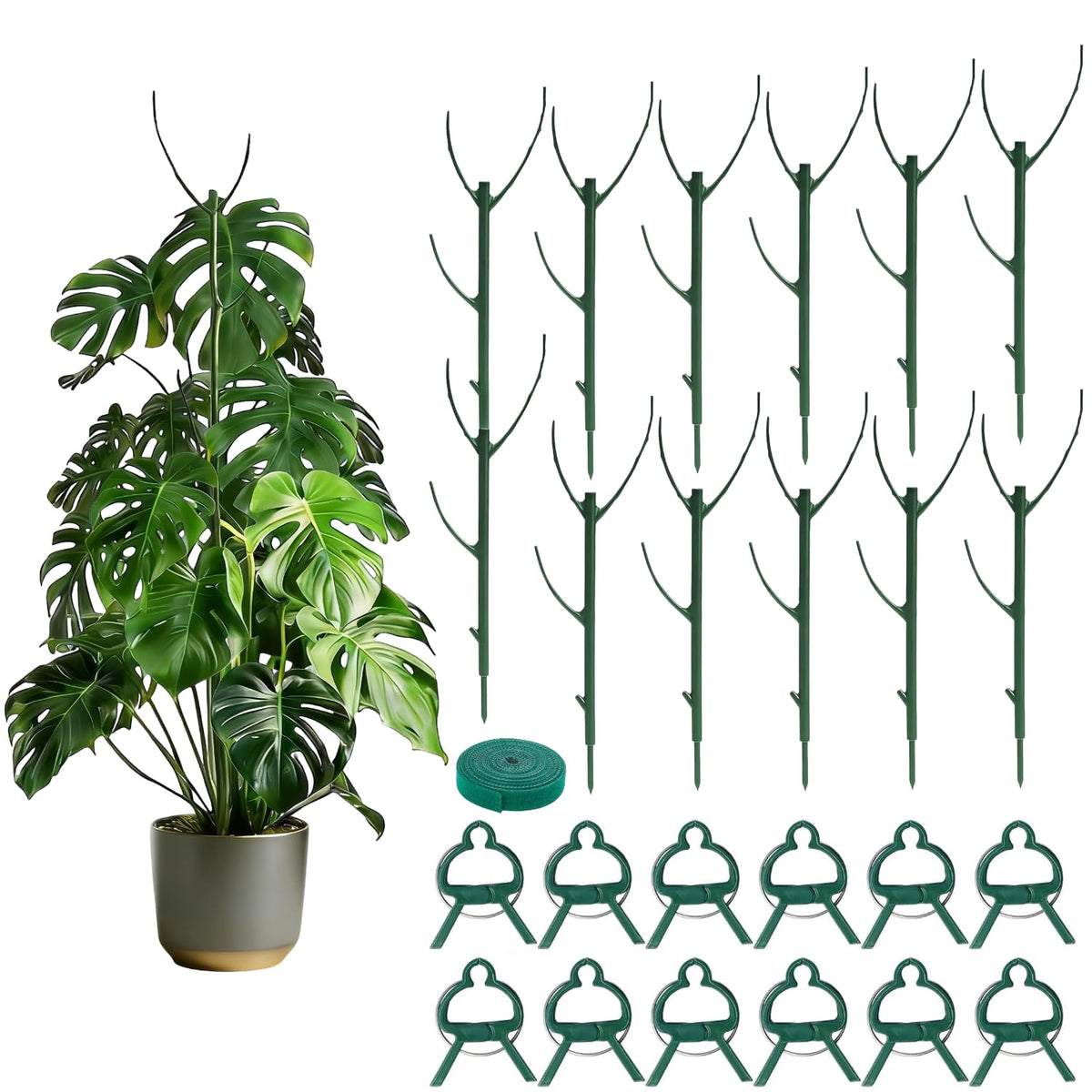 Dukars Tree Branch Stake stackable setup supporting a seedling with invisible elegance