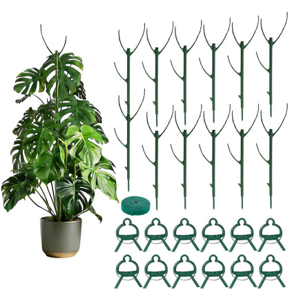 Dukars Tree Branch Stake stackable setup supporting a seedling with invisible elegance
