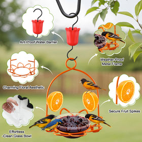Dunkive oriole feeder anti-ant moat protects food from pests.