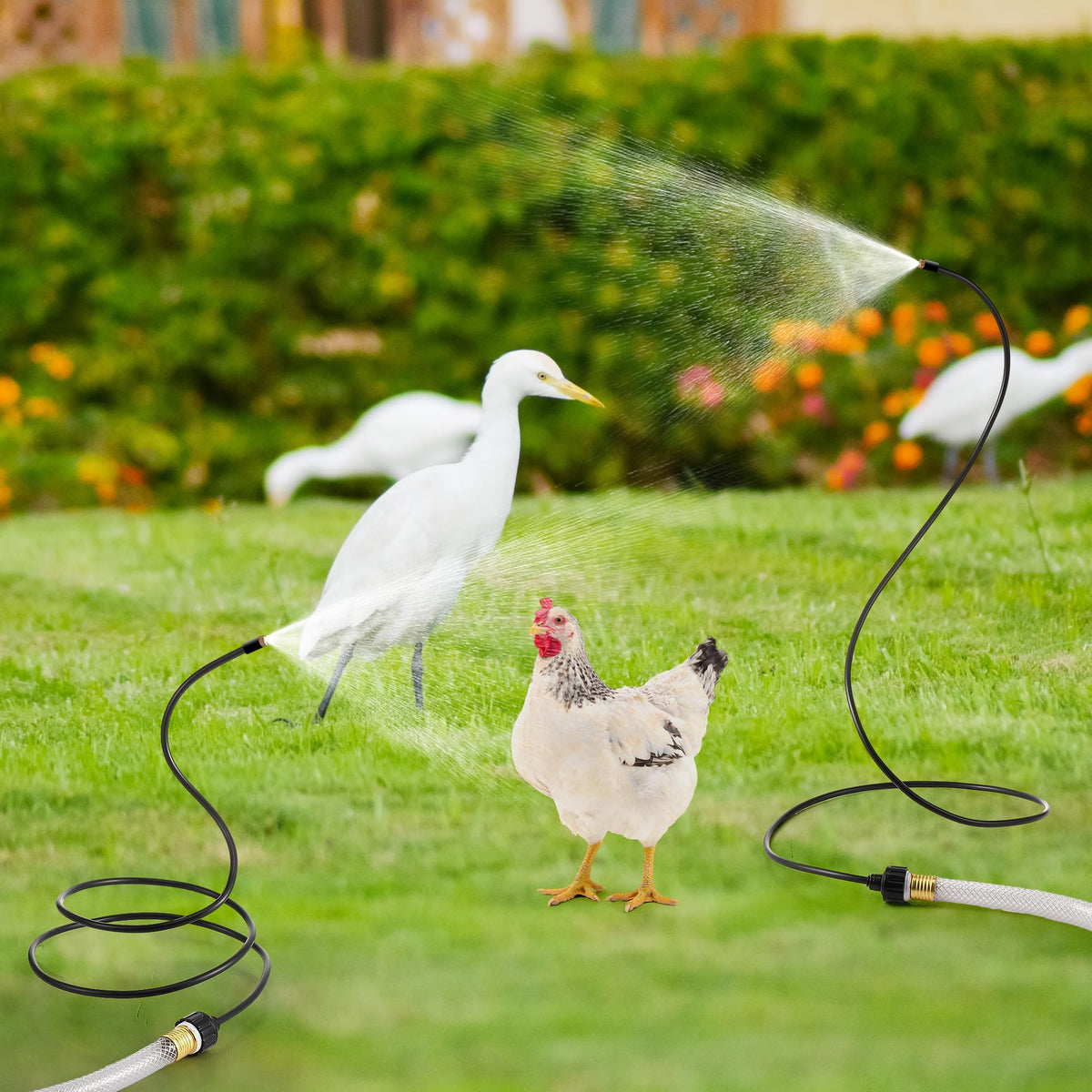Dunkive mister is ideal for backyard play zones and bird bath cooling.