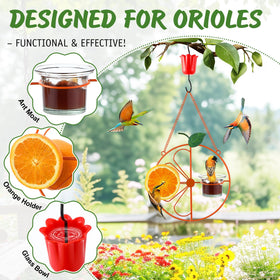 Dunkive Baltimore Oriole Feeder ant moat keeps food clean from pests.