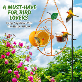 Dunkive Baltimore Oriole Feeder easy-clean design helps quick maintenance.