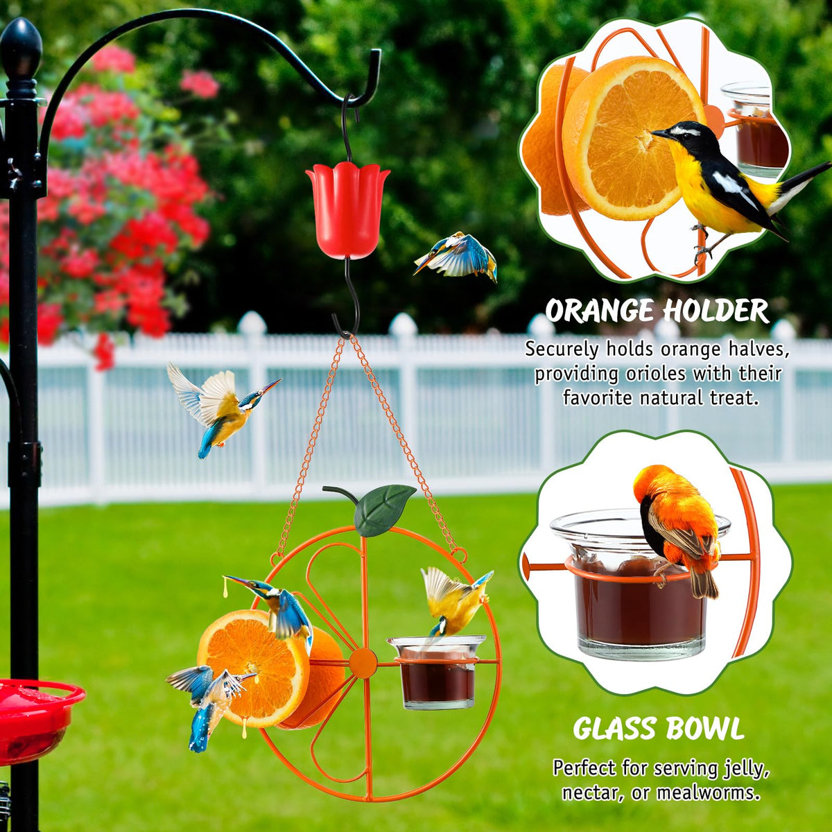 Dunkive Baltimore Oriole Feeder hanging chain and S-hook for easy installation.