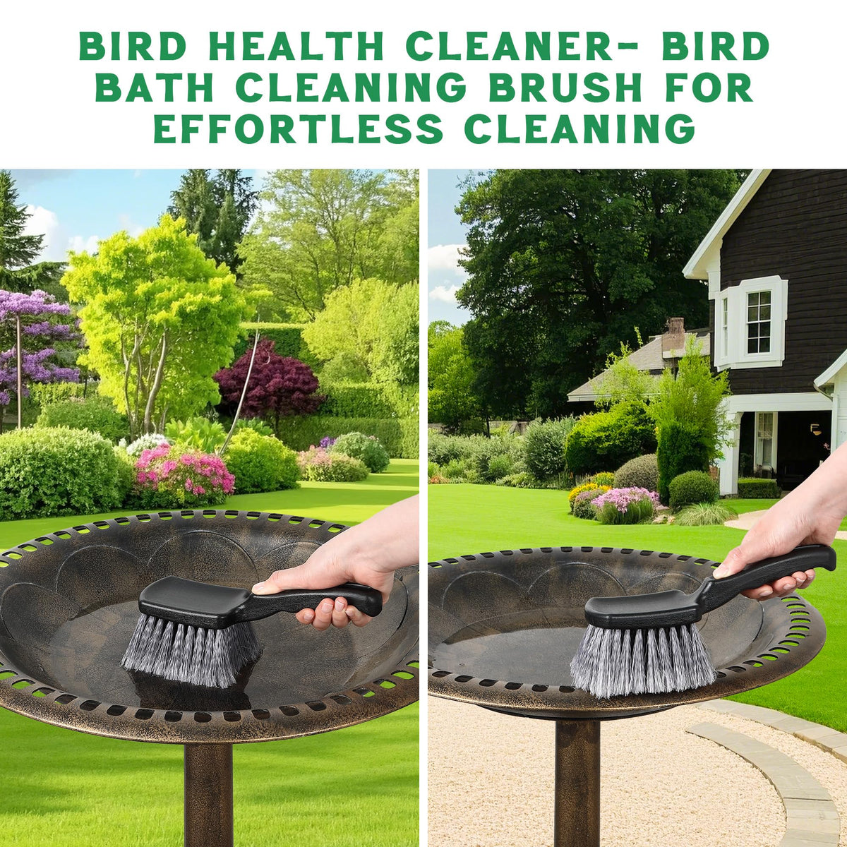 Dunkive brush clears algae from bird baths without scratching surfaces