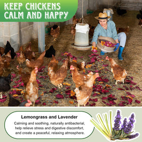 Dunkive nesting box herbs around dust baths for enhanced hen comfort.