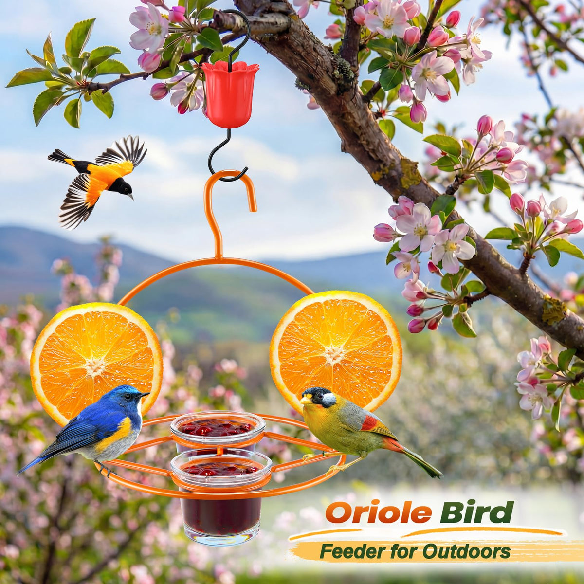 Dunkive Oriole feeder assembly tools kit including screwdriver and cleaning brush