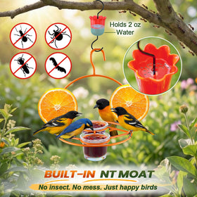 Dunkive Oriole feeder dual feeding stations with two jelly cups and fruit spikes