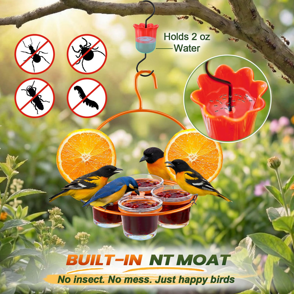Dunkive Oriole Feeder with two fruit spikes for varied offerings