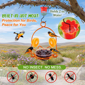Dunkive jelly cup included for easy outdoor feeding.