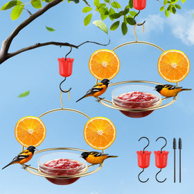 Dunkive oriole feeder with metal ant moat keeps feeding area clean for birds.