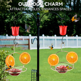 Dunkive oriole feeder metal frame with gold finish adds charm to your garden.