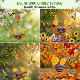 Dunkive orange pegs securely hold jelly and fruit for orioles.