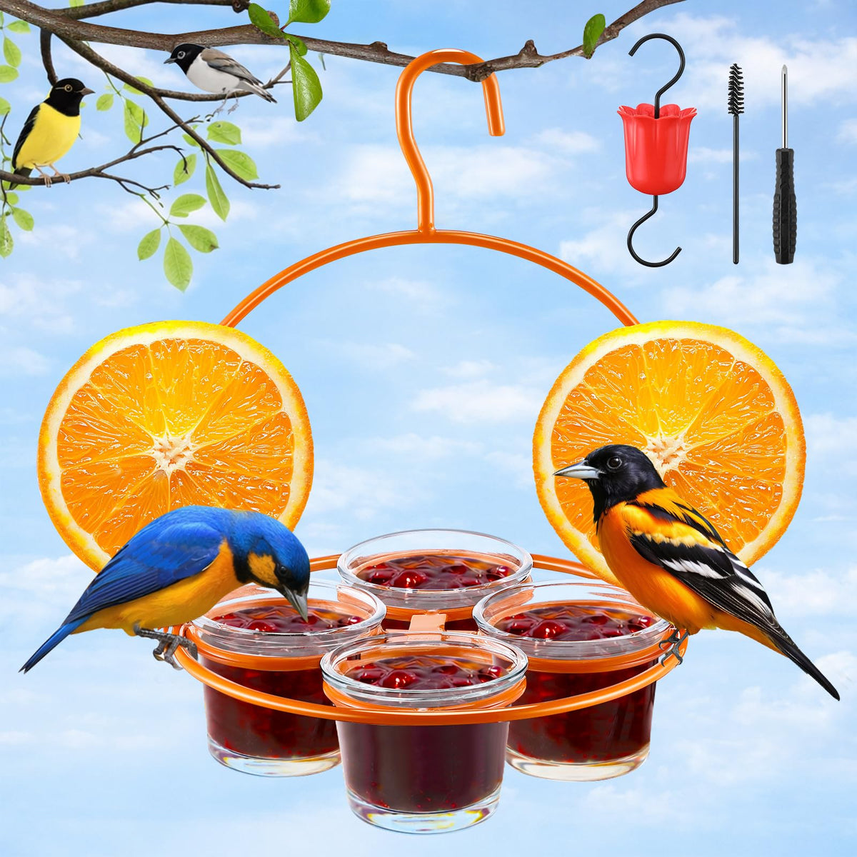 Dunkive Oriole Feeder with four glass cups for outdoor feeding of Baltimore orioles