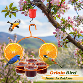 Dunkive Oriole Feeder includes screwdriver for quick assembly